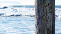 101121wall34
