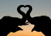 Love-13